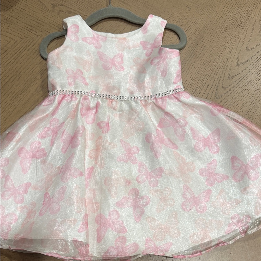 Sweet Heart Rose Pink Butterfly Dress